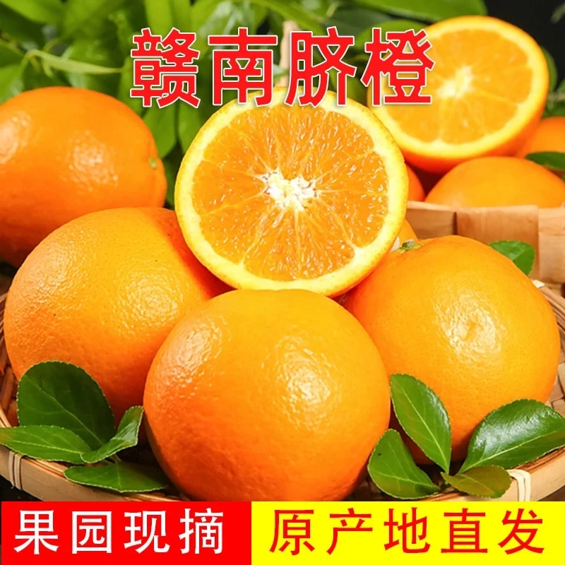 【坏果包赔】正宗江西赣南脐橙4.5斤橙子当季新鲜水果现摘现发橙子