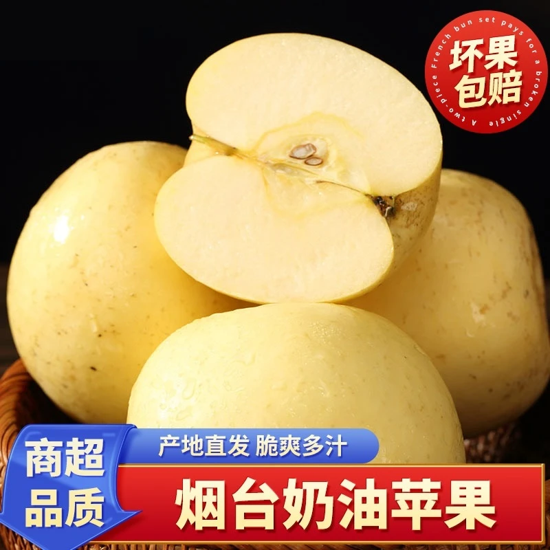 【坏果包赔】山东烟台黄金奶油富士苹果4.5斤奶油苹果当季水果产地