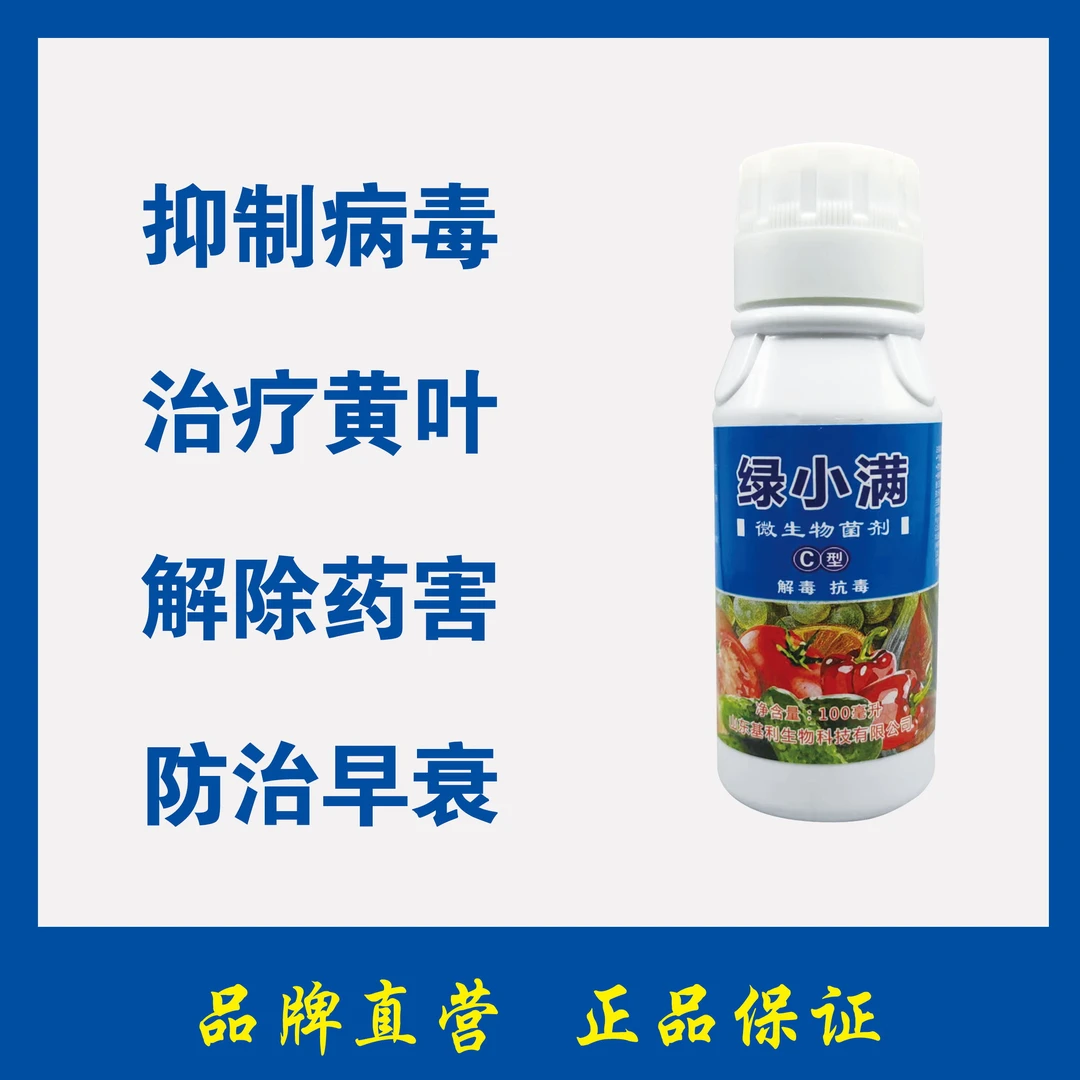 番茄病毒病黄瓜病毒病黄瓜黄叶微生物叶面肥防治病毒病防治黄叶