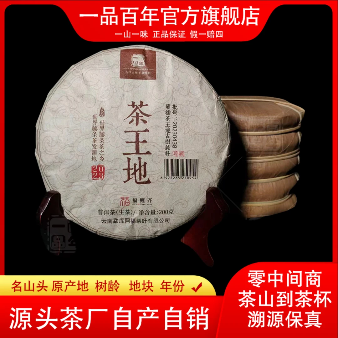 2023年坝糯茶王地古树秋普洱茶200克生茶饼