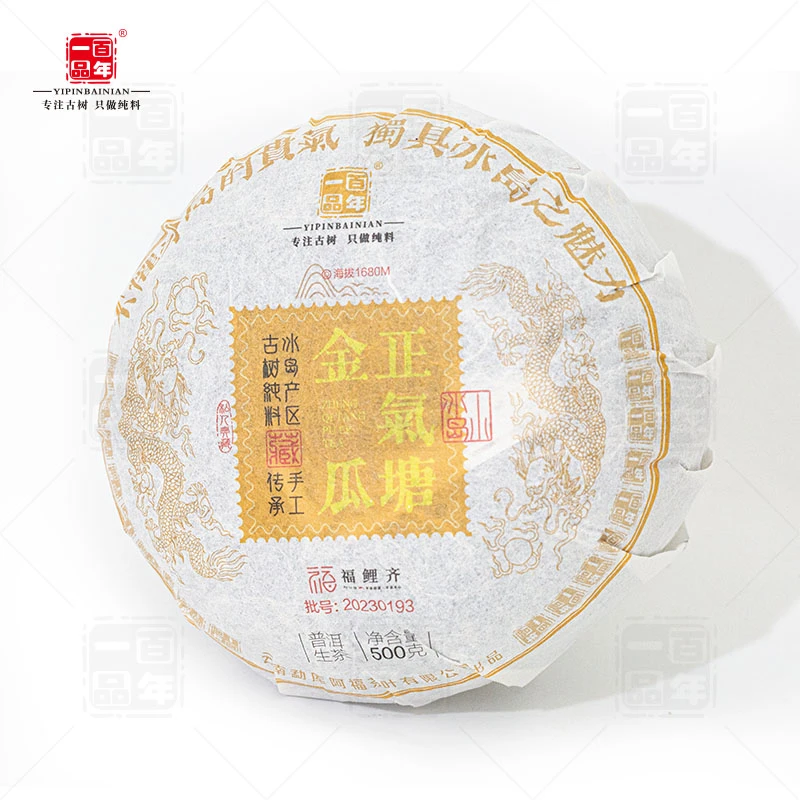 2022年正气塘古树纯料秋茶生茶500克金瓜