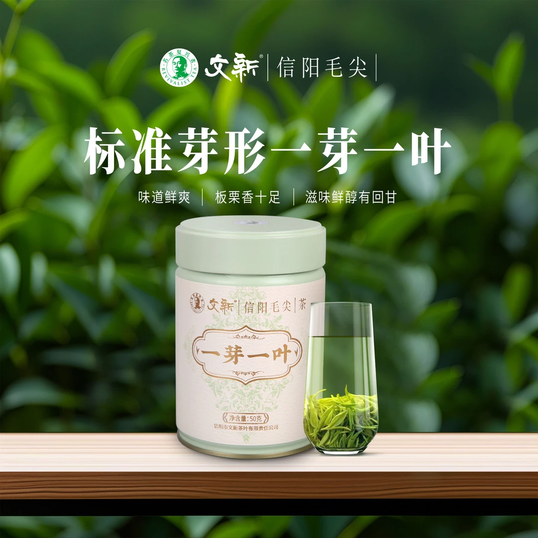 【文新雨前茶50g】2024年信阳毛尖高山一芽一叶雨前茶
