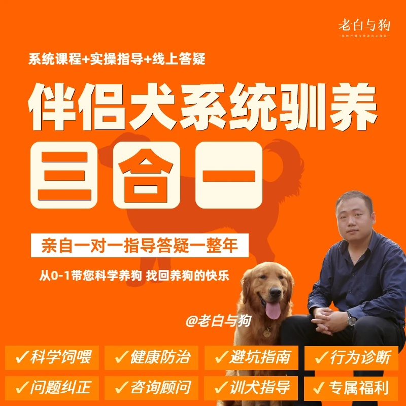 【老白与狗】家庭伴侣犬系统驯养三合一 带您找回养狗的快乐
