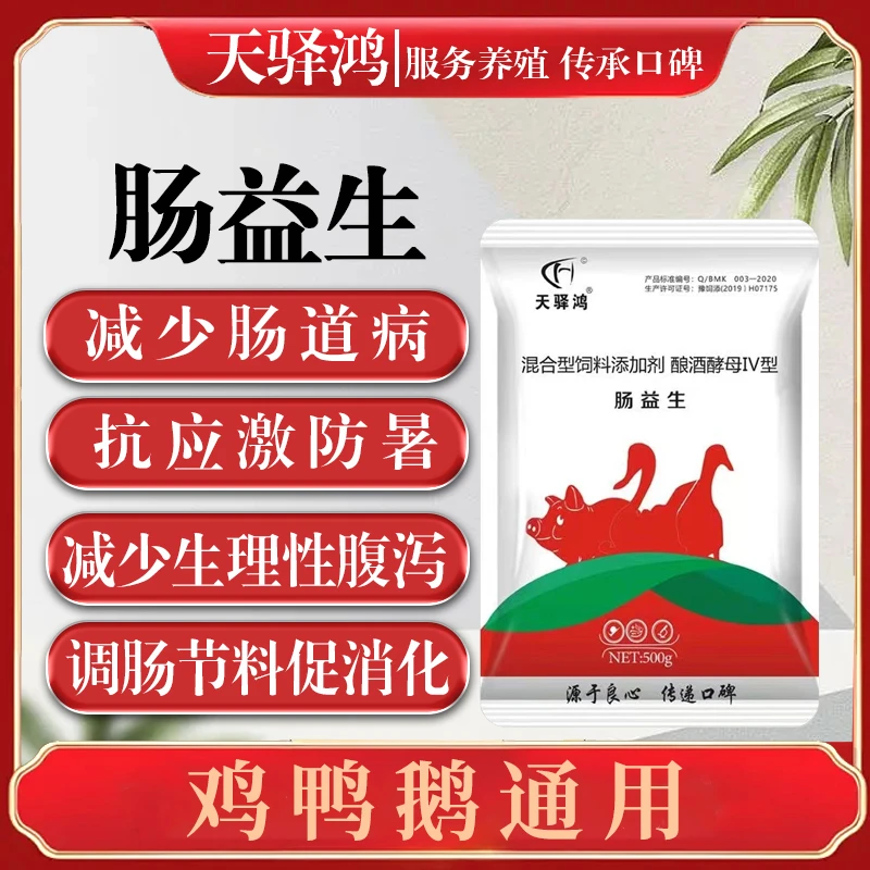 天驿鸿肠益生家禽防止水溶拉稀禽用益生菌养殖饲料营养添加剂山羊