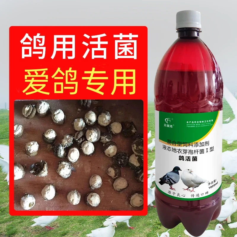 天驿鸿【鸽用】鸽用活菌赛鸽肉鸽常备常见水便绿便拉稀调理肠道用
