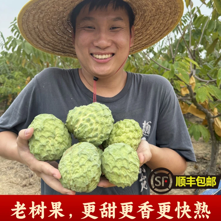 （顺丰）广东牛奶凤梨释迦果自产自销甜蜜水果老树果更香甜