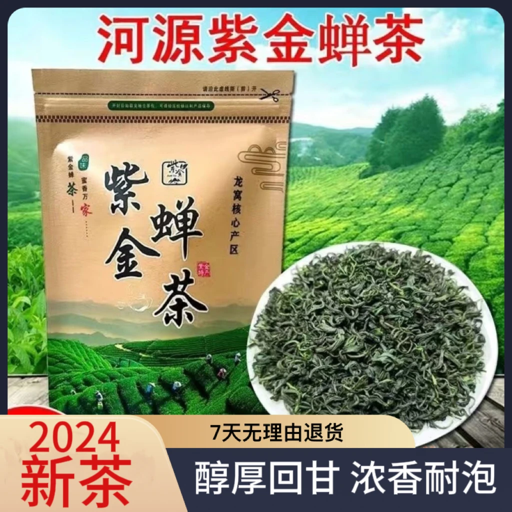 绿茶2025新茶广东河源紫金龙窝高山云雾绿茶浓香型明前紫金茶250g