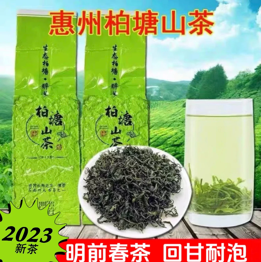 新茶采摘惠州柏塘生态博罗客家山茶罗浮山茶叶手工农家茶浓香耐泡