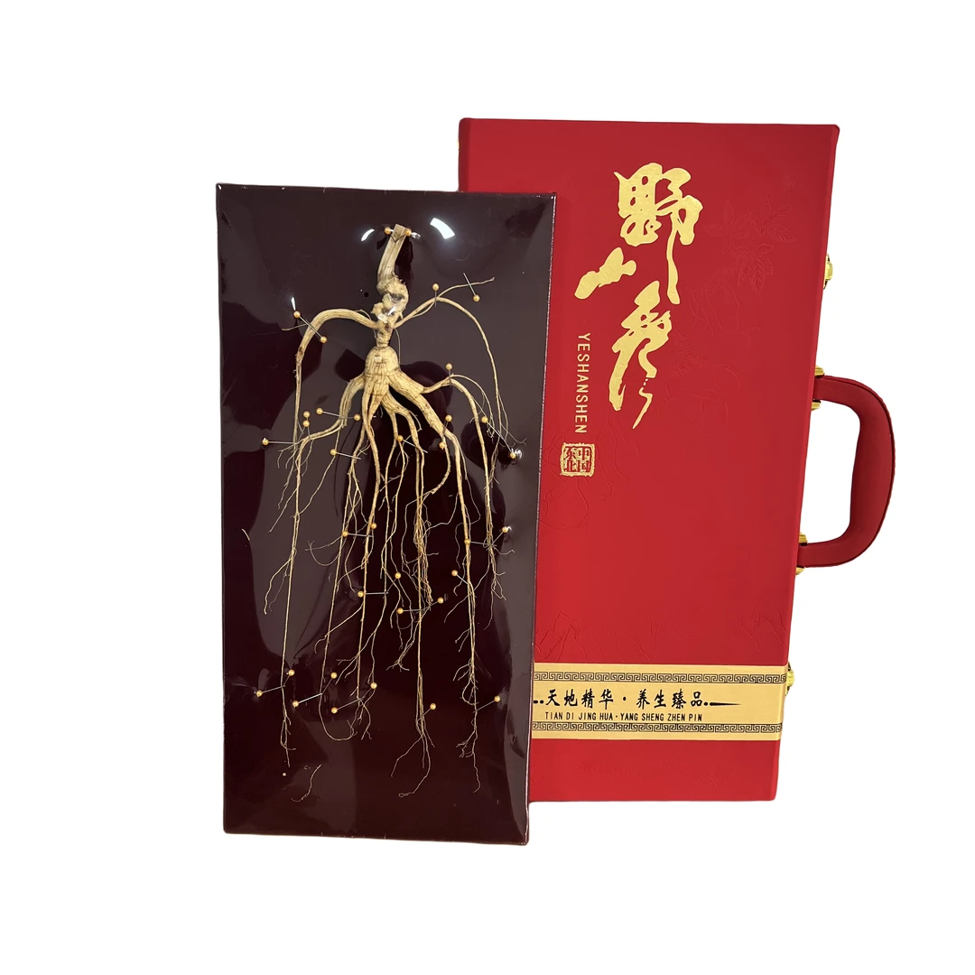 长白山人参林下山参林下撒种自然生长滋养养生送礼珍品人参礼盒