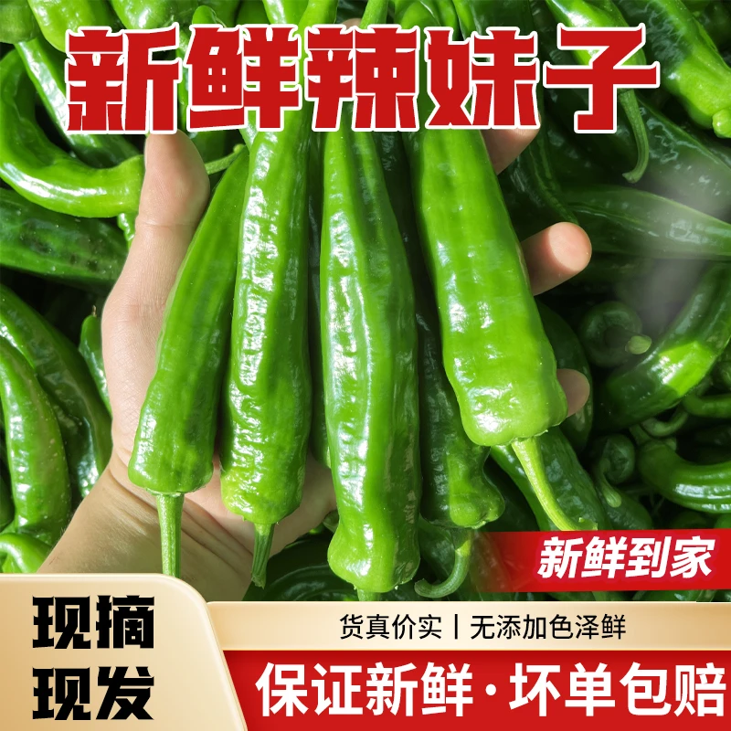 新鲜辣妹子辣椒中辣好吃又下饭
