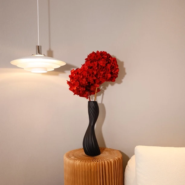 【高级红黑渐变大叶绣球】进口大叶绣球永生花