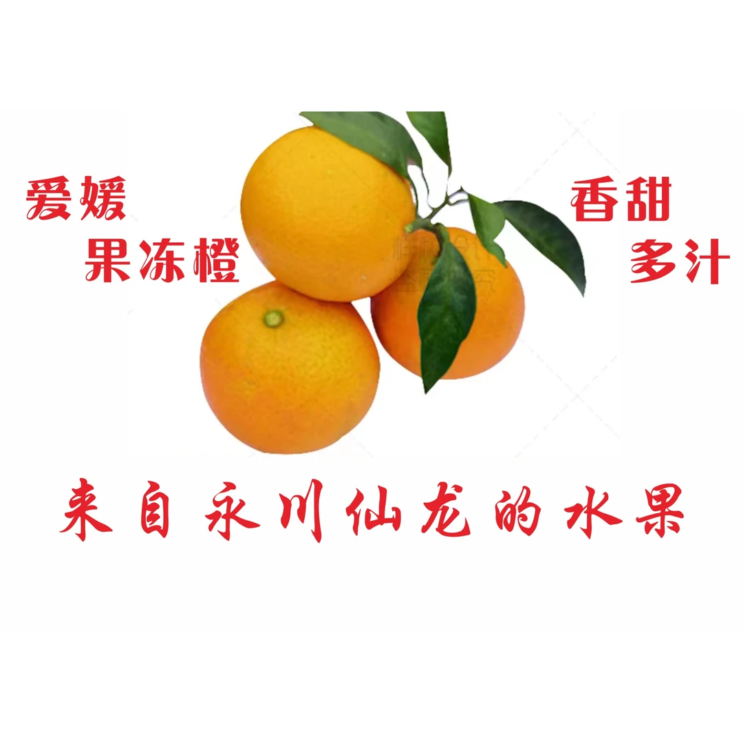 剥皮地区现摘现发爱媛果冻橙新鲜天然香甜无核皮薄鲜甜采摘多汁