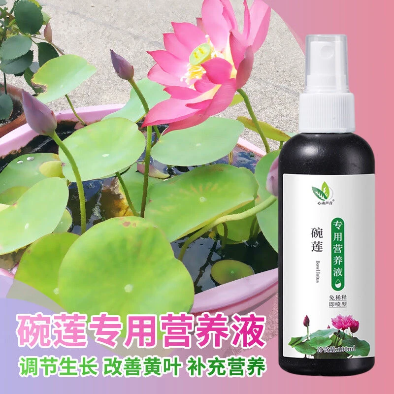 碗莲营养液水溶肥水培土培睡莲通用肥料专治生长慢不发芽不开花