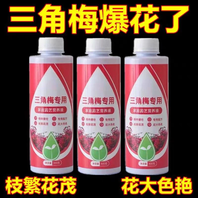 三角梅专用肥绿植物营养液养花通用型梅花盆栽花开花卉促开花腊梅