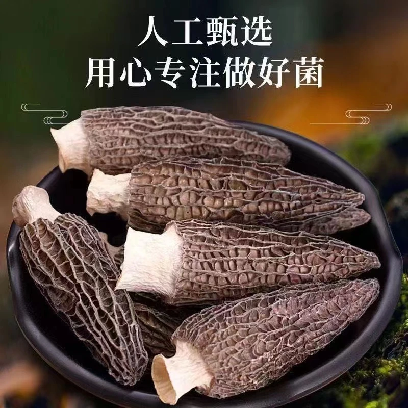 云南羊肚菌干货头茬肉厚香味浓新鲜食用营养肉质菌生态饱满煲汤