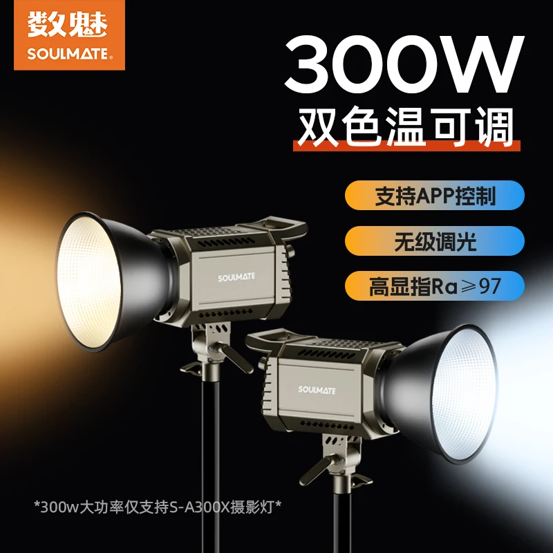 数魅名匠300W双色温直播间补光灯摄影美颜灯室内用球形柔光灯影棚