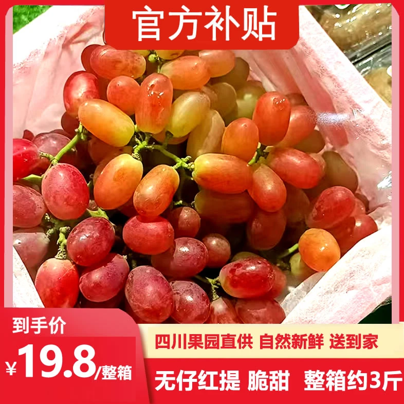【整箱约3斤四川无籽红提】克伦生 脆甜多汁 一口嘎嘣脆
