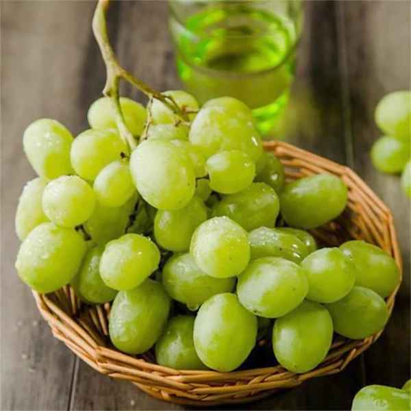 进口青提 酸甜可口 （32.8元/斤）提子维多利亚州