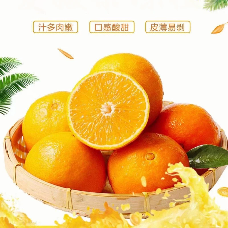 4.98元/斤】爱媛果冻橙  水润多汁 细嫩化渣