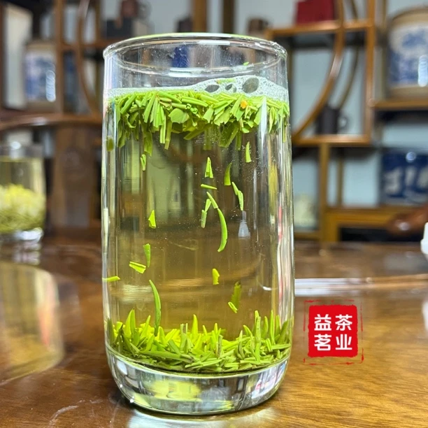 2024雀舍碎清香感好性价比好春茶新茶蒙顶雀舍