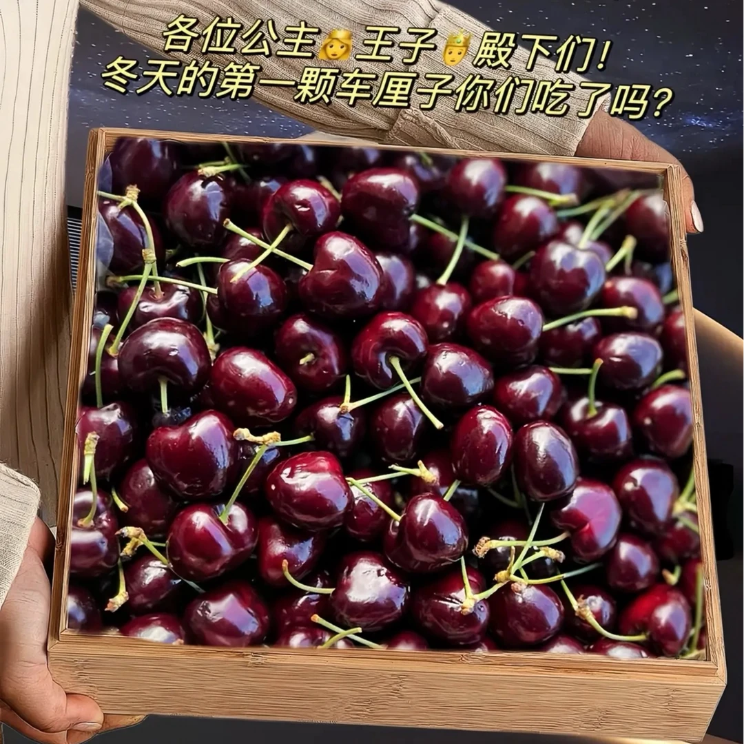 【4J】智利桑提娜5斤装