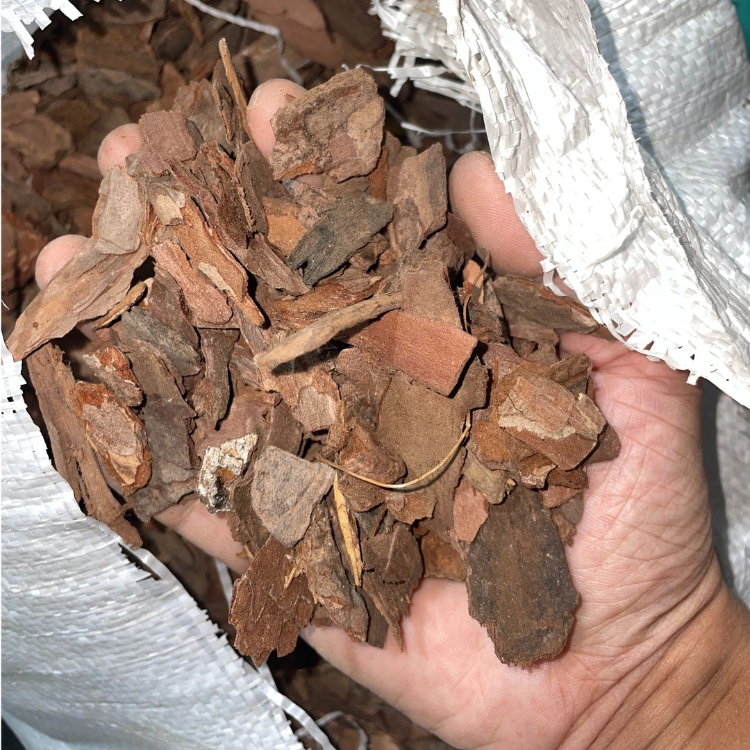 兰花专用植料兰花专用土[【松树皮4号5号混合】