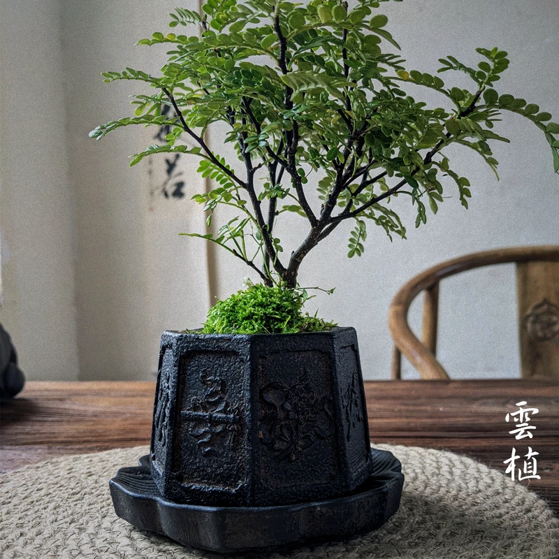 仿古仿老青石中国风八宝井口高端微景观盆景花盆小花器掌上微盆景