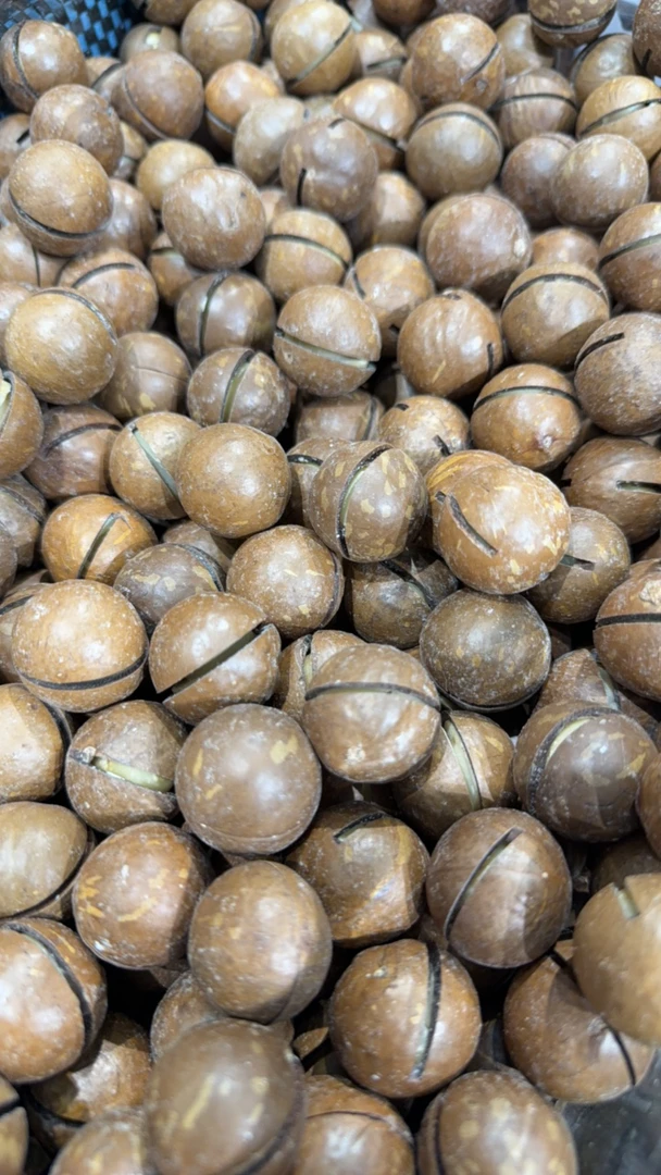 手捏夏威夷果340g/桶(带剥壳器)