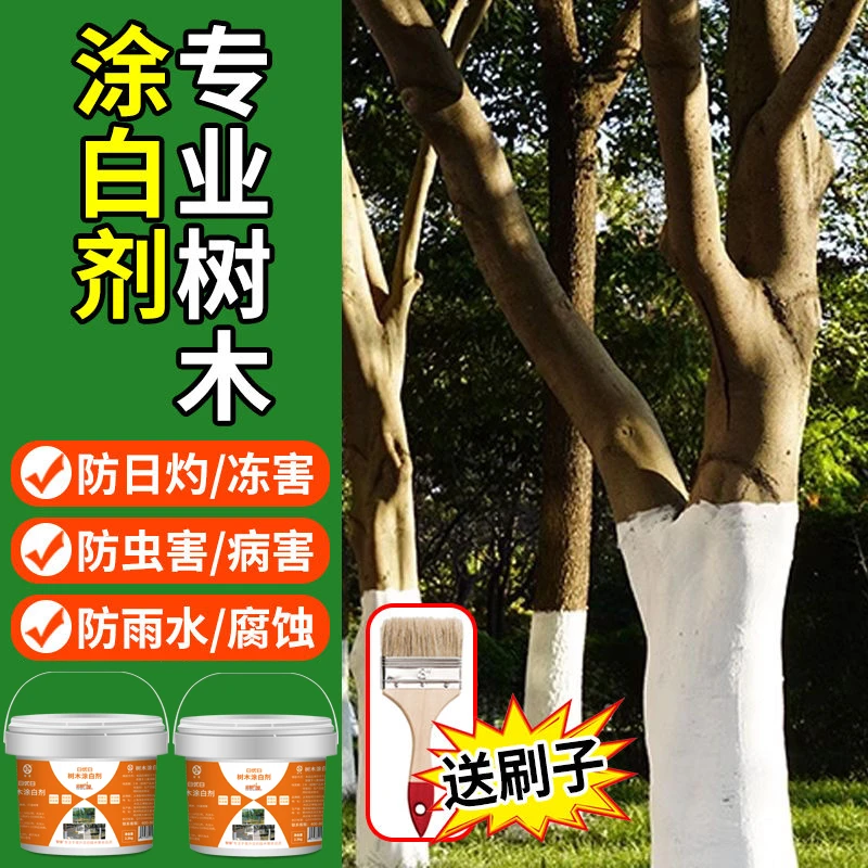 树木涂白剂果树专用涂白粉预防虫害细菌滋生防冻害防日灼园林庭院