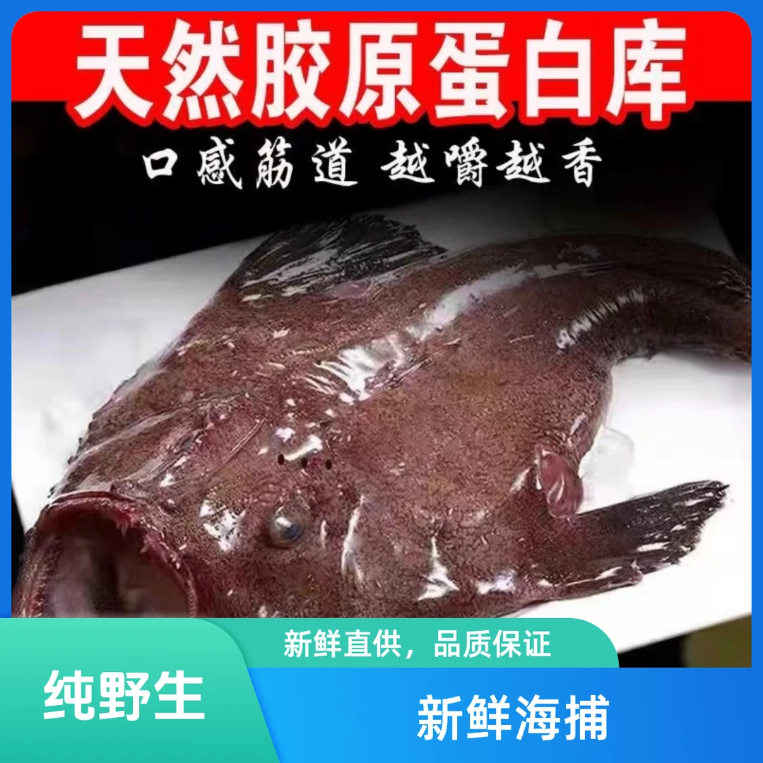 3.5斤左右1条海捕野生安康鱼处理好带肝带肚顺丰冷链包邮