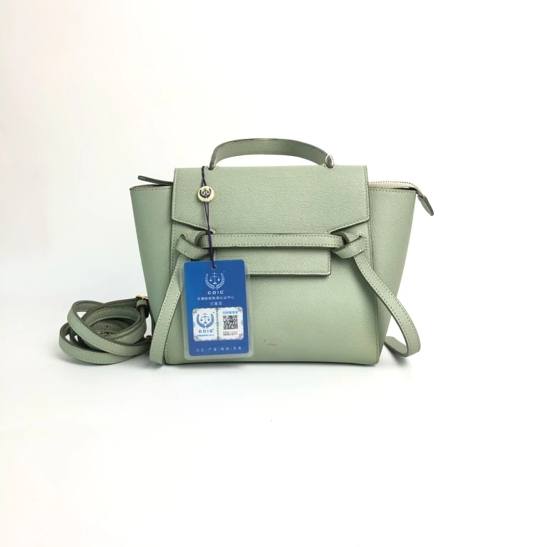 95新 Celine/思琳 安洁利知之鲢鱼斜挎包13025