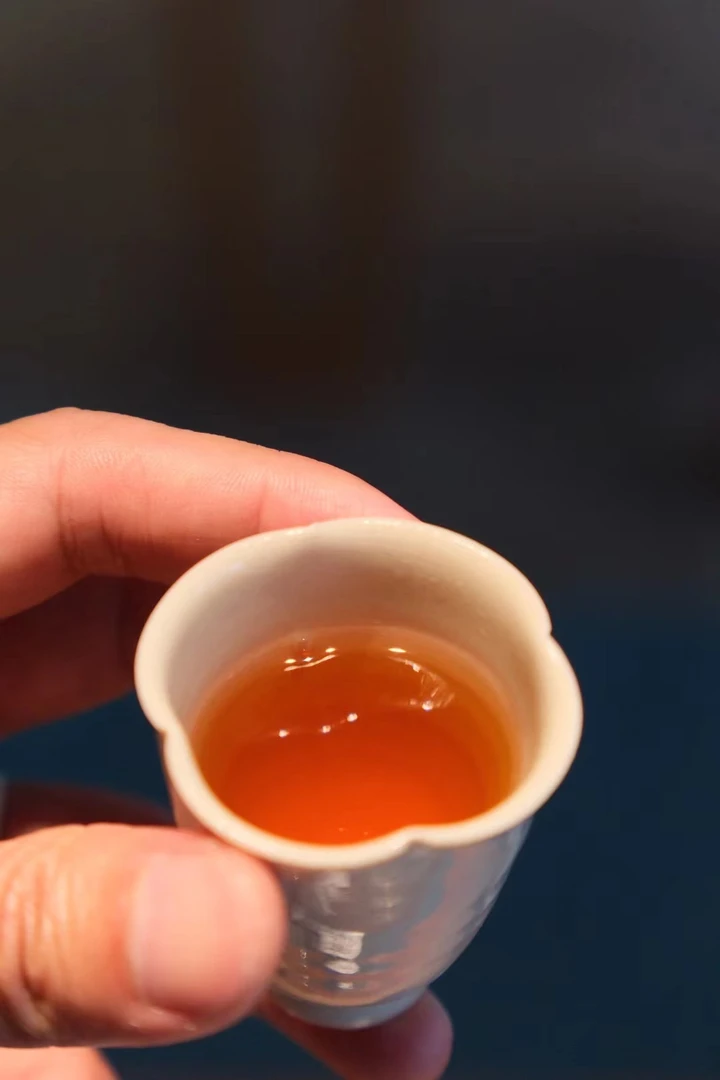 【老树梅占】中火 梅子香皮滋味 厚重 滋味醇厚 6泡