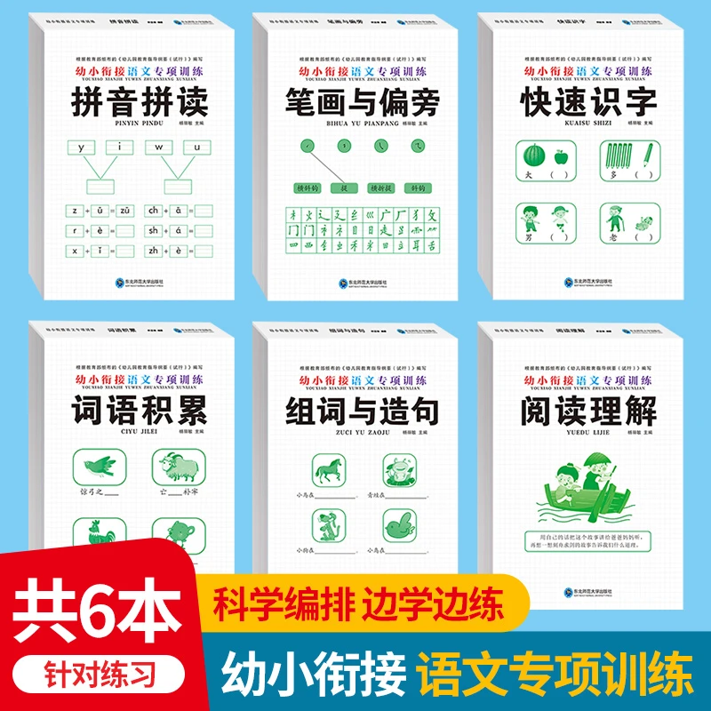 全6册 幼小衔接语文专项训练 汉语拼音拼读训练幼儿学前每日一练