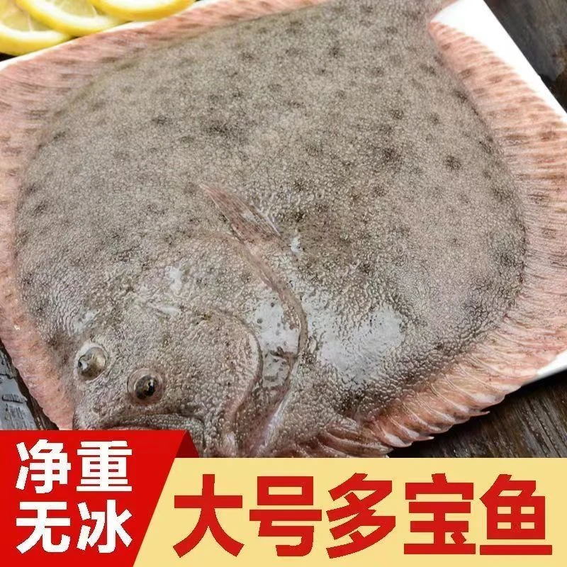 新鲜海捕多宝鱼 鲜活速冻锁鲜 到手4斤 每条8两-1斤顺丰冷链发货