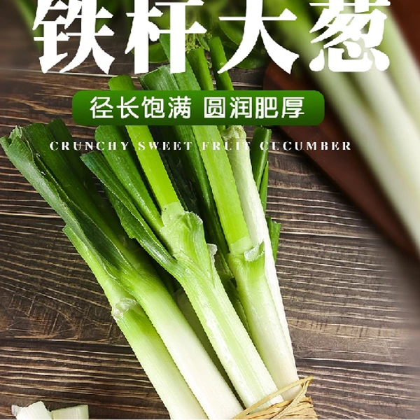 2024年安丘正宗新鲜大葱5斤装