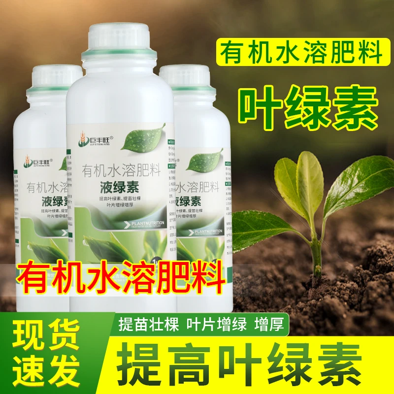叶绿素肥提苗壮棵叶面增绿增厚蔬菜果树专用有机水溶肥料速溶快速