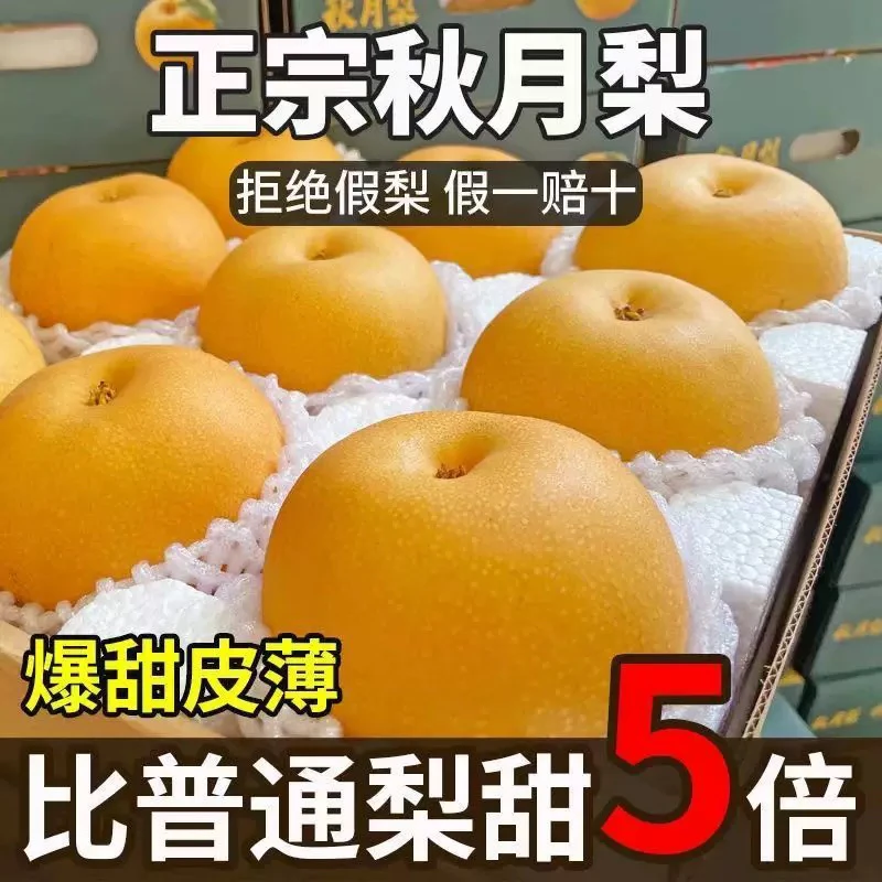 正宗江苏秋月梨新鲜水果有机无药现摘现发皮薄酥脆香甜细腻化渣