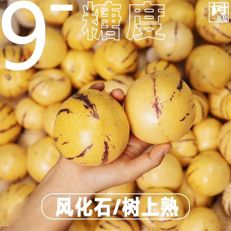 【低糖专享；9个以下糖】云南石林树上熟黄肉圆果人参果9斤产地直播