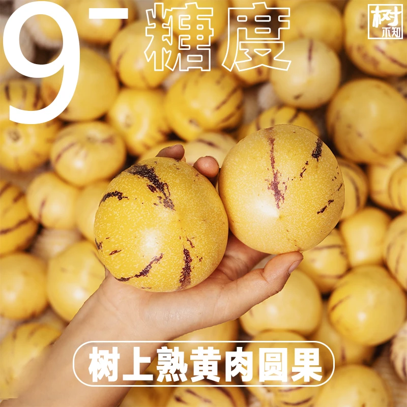 【低糖专享；9个以下糖】正宗云南石林人参果人生果产地直发当季水果
