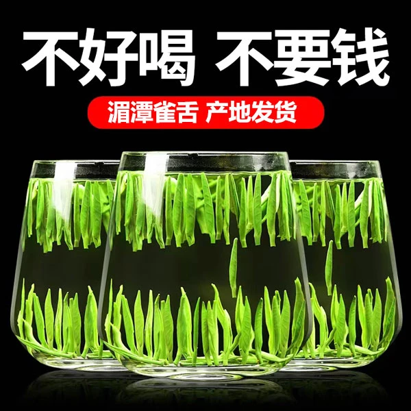 【单芽雀舌】雀舌绿茶2025新茶贵州湄潭毛尖春茶浓香耐泡茶叶01