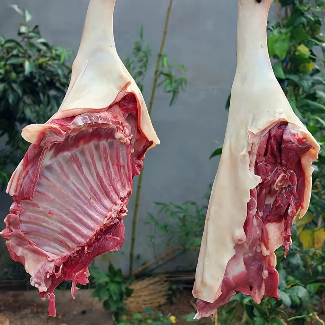 【新带皮羊腿肉4斤】新鲜带皮羊腿炖煮食材真空包装顺丰冷链包邮
