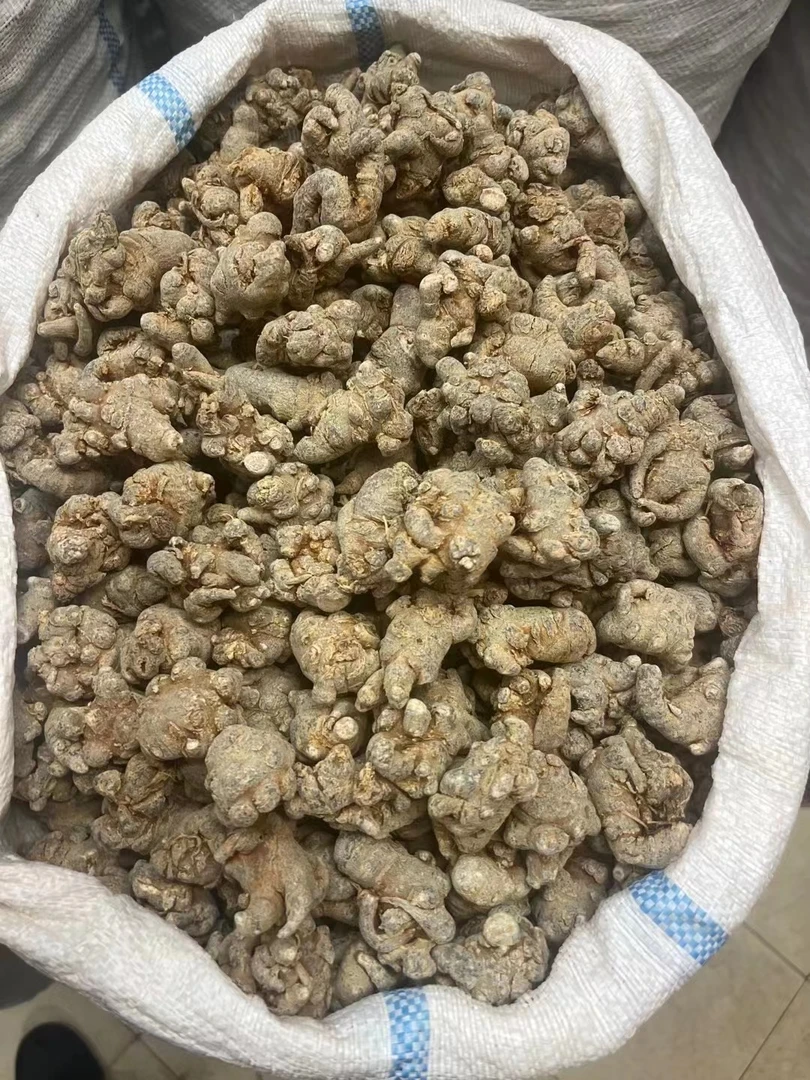 文山 钿七 彡七 特级 煲汤打粉 当归