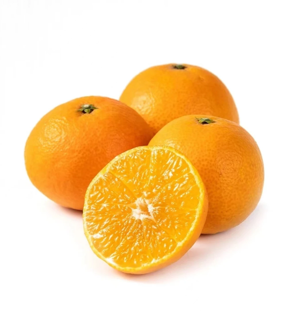 【冯长广小时达】爱媛果冻橙约600g