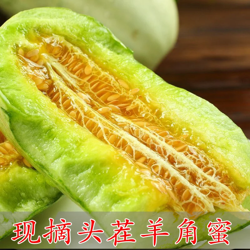 现摘头茬羊角蜜甜瓜孕妇儿童新鲜水果包邮3/5斤春季甜瓜蜜瓜清香