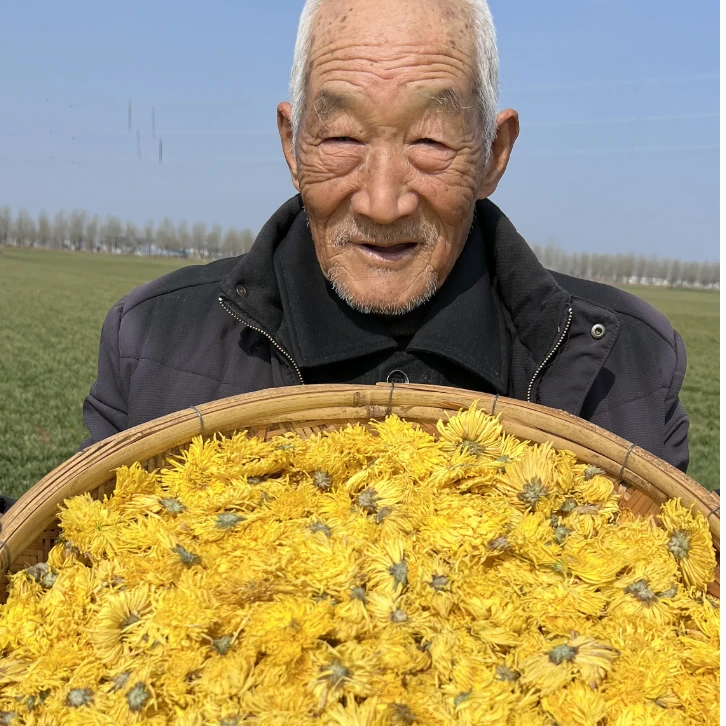 【买1发4】新货金丝皇菊菊花茶皇菊一朵一杯高山茶