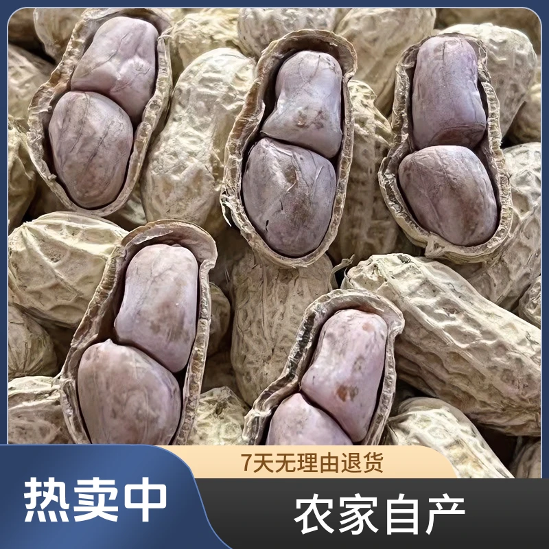 龙岩花生水煮白晒花生蒜香花生盐水花生咸干五香湿烤花生坚果炒货