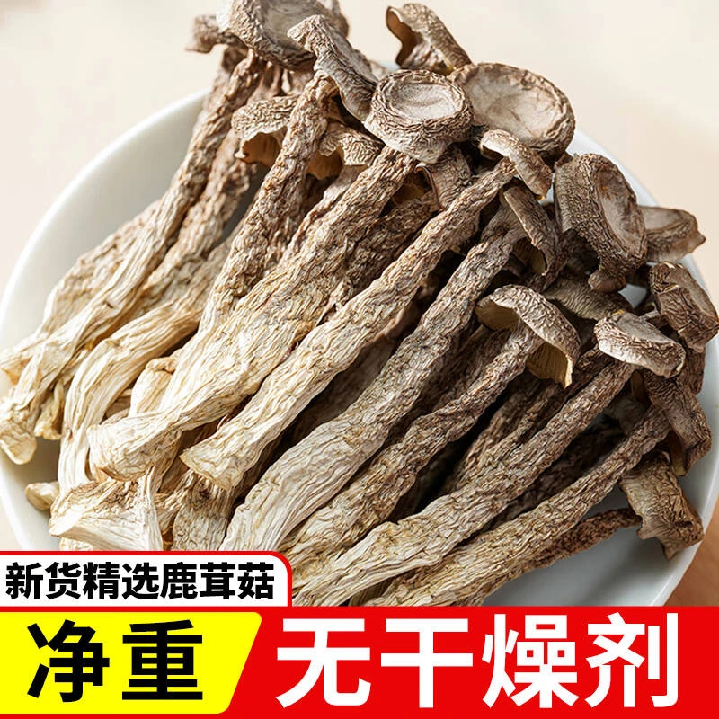 【可试吃】鹿茸菇干货1000g新鲜鹿茸菌干锅鹿耳菇煲汤食材250g批发