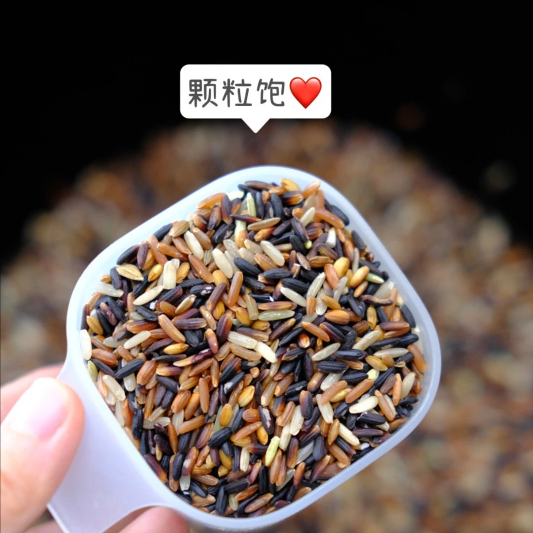 旱稻五色全谷米低脂粗粮铁皮高饱腹1000g