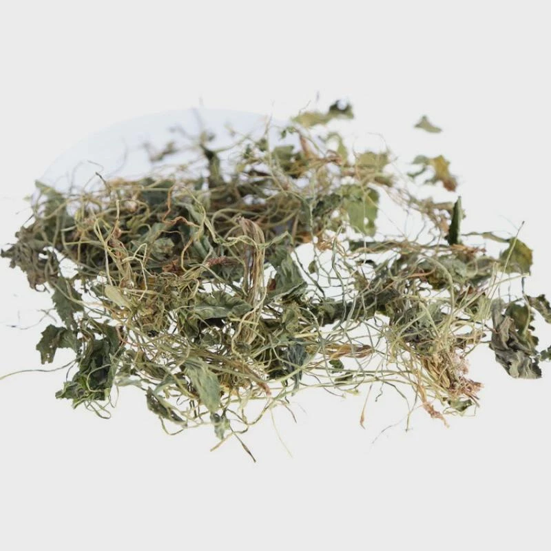 紫花地丁中药材克无硫天然地丁草新鲜干货野生紫花地丁可泡茶