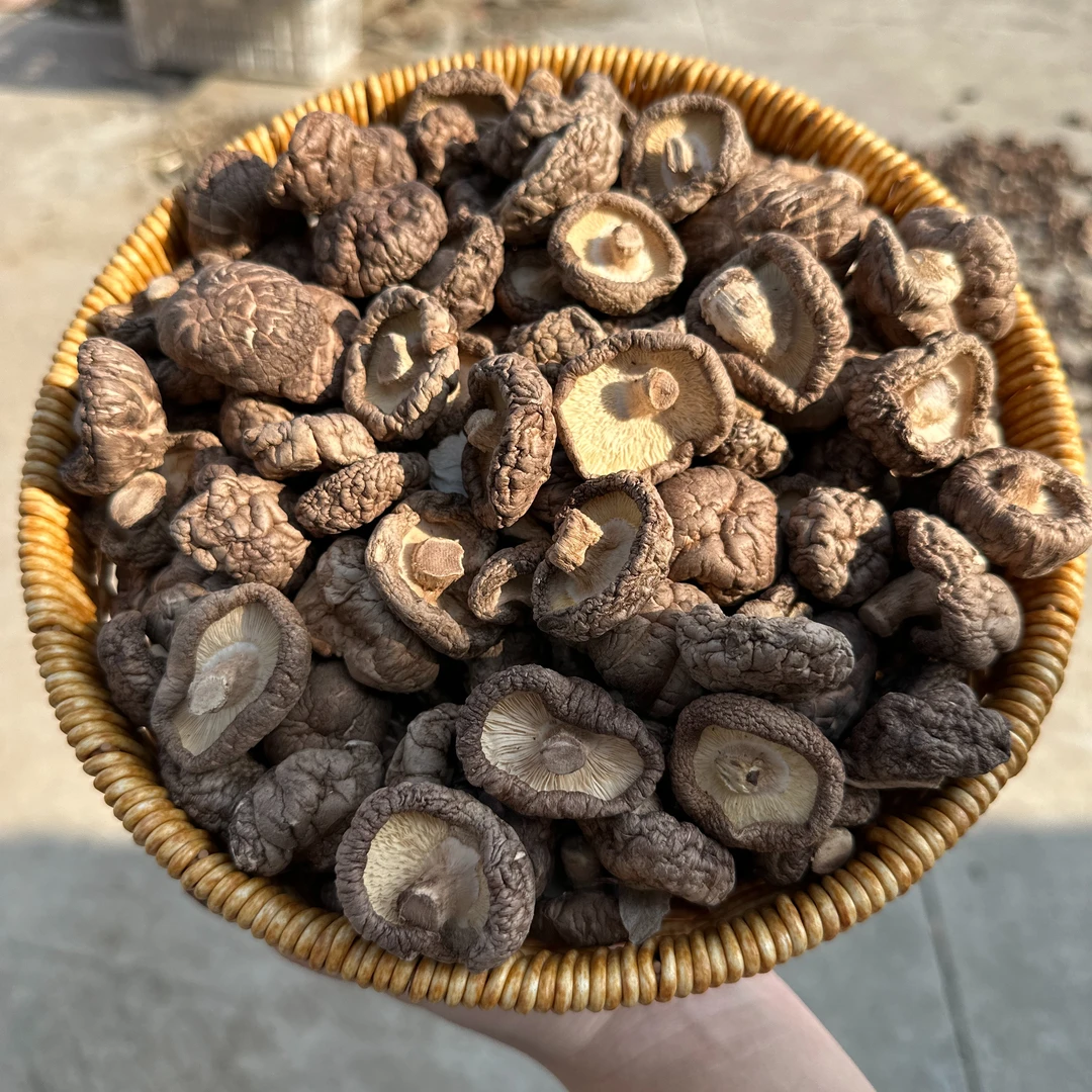 精选冬菇 小香菇 金钱菇 无根干香菇干货菌菇250g/500g
